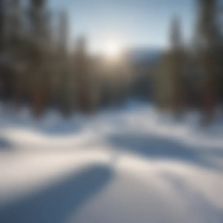 Visitors enjoying winter sports at Snow Bowl