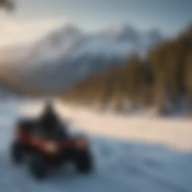 Scenic Beauty of Alaska Snow Machine Tourists Enjoying Panoramic View of Alaskan Mountains