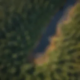 Aerial view of dense forest showcasing spatial mapping techniques.