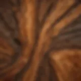 Wood with intricate structural stain patterns