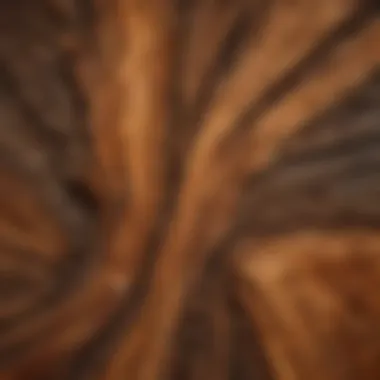 Wood with intricate structural stain patterns