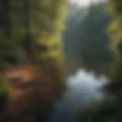 A serene view of Sullivan Lake surrounded by lush greenery.