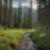 Scenic view of Vail Ski Resort in summer with lush green landscapes