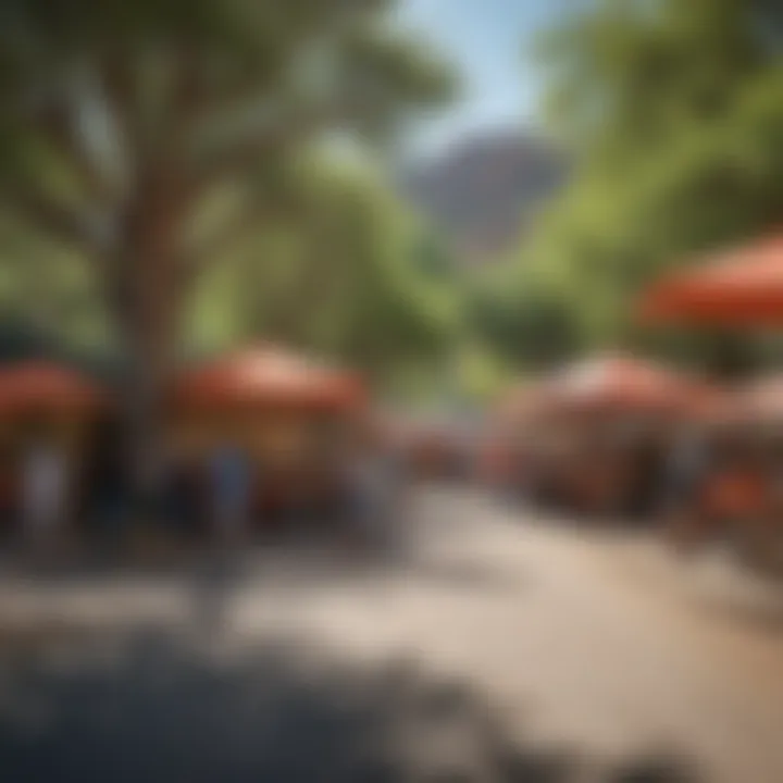 Outdoor summer job fair with vibrant booths and attendees