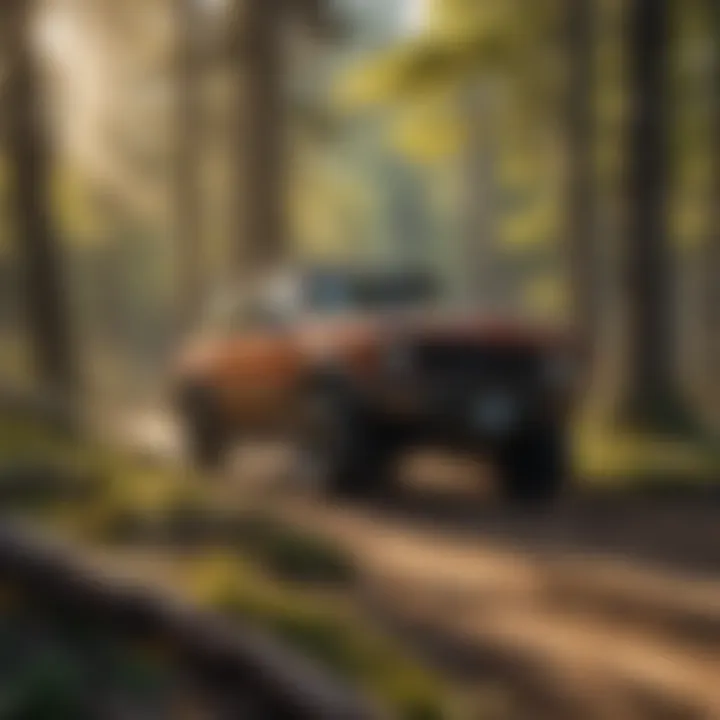 Unveiling the creative essence of Sundance