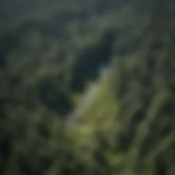 Aerial view of a forest with lidar scanning equipment setup.