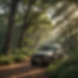 Lush greenery at Texas State Park host job location
