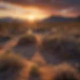 Stunning Nevada desert landscape at sunset
