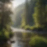 A serene river scene showcasing fly fishing in South Dakota's lush landscape