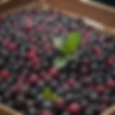 Market display of fresh huckleberries