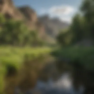 Lush green surroundings of the Bighorn River, exemplifying its rich ecology