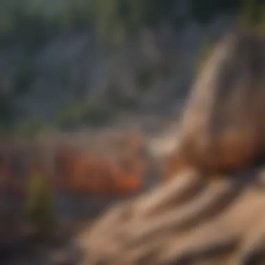 Close-up of unique geological rock formations in the Black Hills