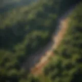 Aerial view of diverse ecosystems showcasing the relationship between forests and climate.