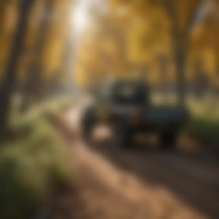 An overview of sustainable practices implemented in cottonwood cultivation