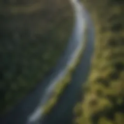 Aerial view of a whitewater river winding through a dense forest