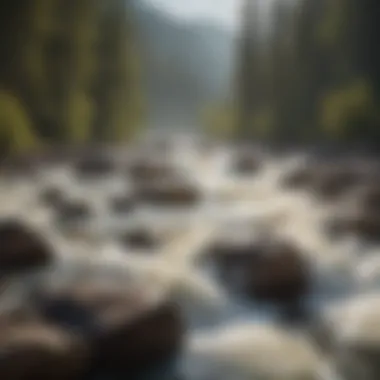 Dynamics of Whitewater Rapids Close-up of whitewater rapids with swirling water and rocks