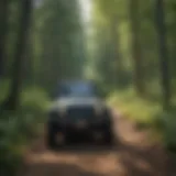 A scenic view of Michigan's off-road trails surrounded by lush forests