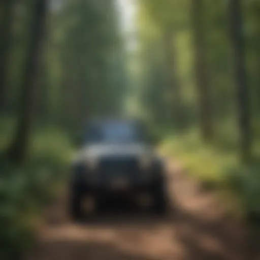 A scenic view of Michigan's off-road trails surrounded by lush forests
