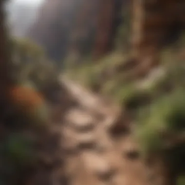 A close-up of the diverse flora and fauna that thrive in the Grand Canyon ecosystem.