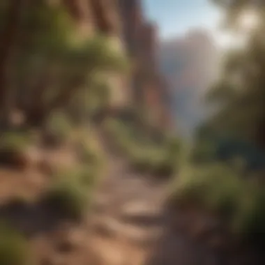 A winding trail leading through lush vegetation and unique rock formations within the Grand Canyon.