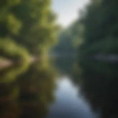 A serene view of the Grand River surrounded by lush greenery.