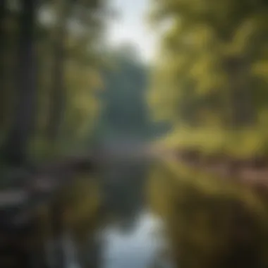 Wildlife thriving along the banks of the Grand River.