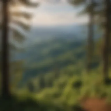 Scenic view from a hiking trail overlooking Eugene, highlighting the city's natural beauty.