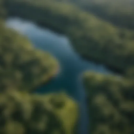 Aerial view of a serene island lake surrounded by lush greenery