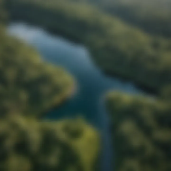 Aerial view of a serene island lake surrounded by lush greenery