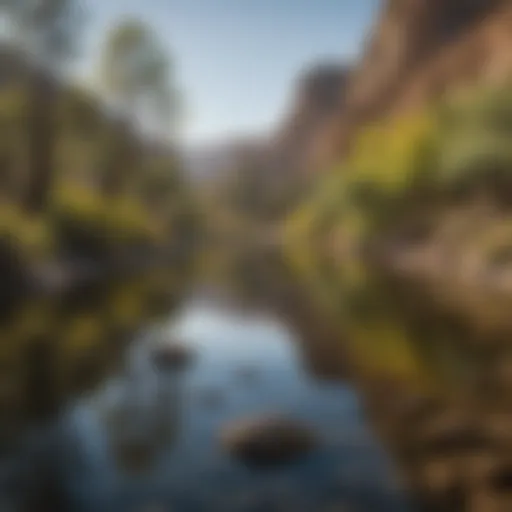 Lush landscape surrounding the Kern River showcasing diverse plant life