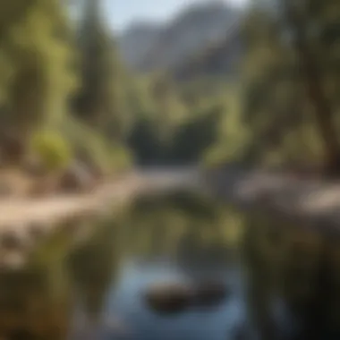 Campers enjoying recreational activities near the serene waters of the Kern River