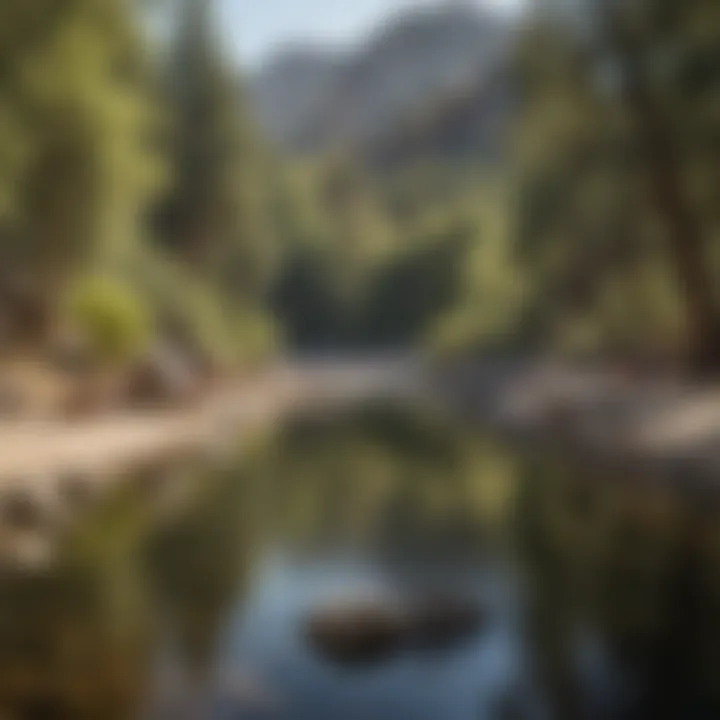 Campers enjoying recreational activities near the serene waters of the Kern River