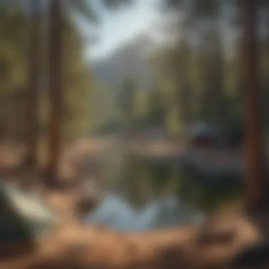 Signage promoting sustainable camping practices within the Kern River environment