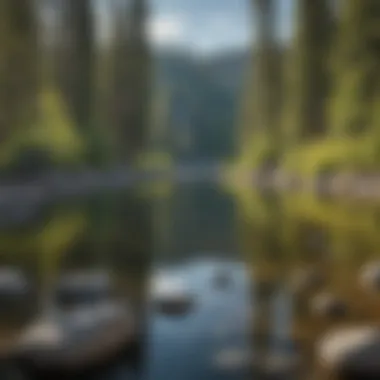 A panoramic view of Lake Tahoe surrounded by lush forests