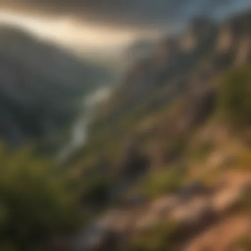 Majestic landscape of the Black Hills showcasing granite spires