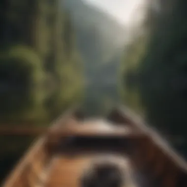 Close-up of oars resting on a boat on the river