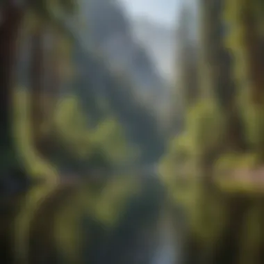 Serene view of Merced River with lush greenery