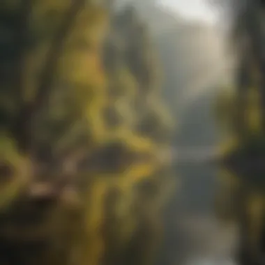 Wildlife along the banks of the Merced River