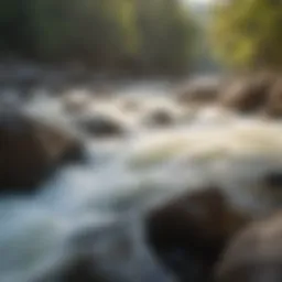 Cascading rapids of the Ocoee River