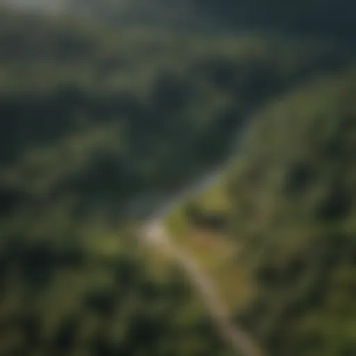 An aerial view of a lush forest area, highlighting biodiversity.
