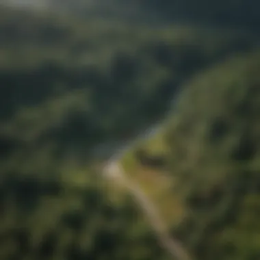 Biodiversity in Forests An aerial view of a lush forest area, highlighting biodiversity.