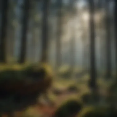 Biodiversity thriving within a black forest ecosystem