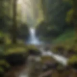 Cascading Beauty of Sol Duc Falls Breathtaking view of Sol Duc Falls cascading down rocky cliffs