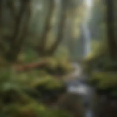 Flora and Fauna of Sol Duc Falls Wildlife thriving in the Sol Duc Ecosystem