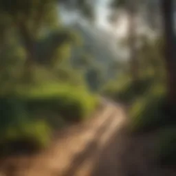 Scenic view of Ojai's hiking trails with lush greenery