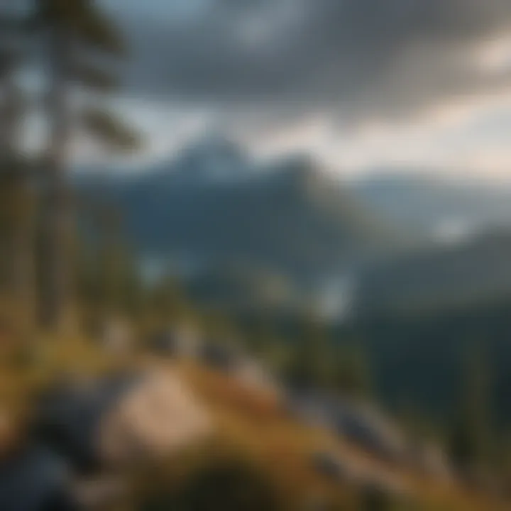 Panoramic view from a mountain peak in Ketchikan