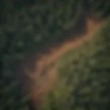 An aerial view of deforested land contrasted with lush forest areas.