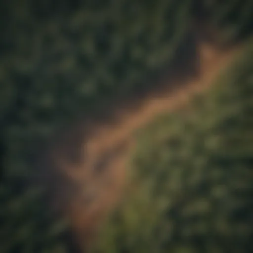 An aerial view of deforested land contrasted with lush forest areas.