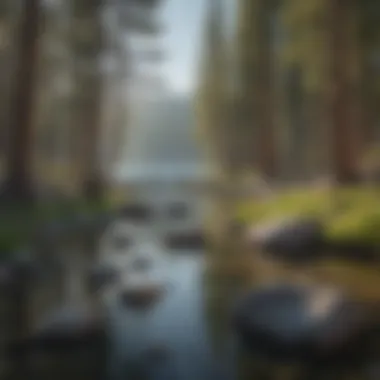 Serenity of Lake Tahoe Breathtaking view of Lake Tahoe's serene waters surrounded by lush pine forests.