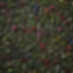 A diverse collection of medicinal herbs arranged aesthetically